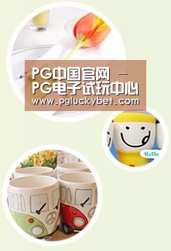 关于PG中国