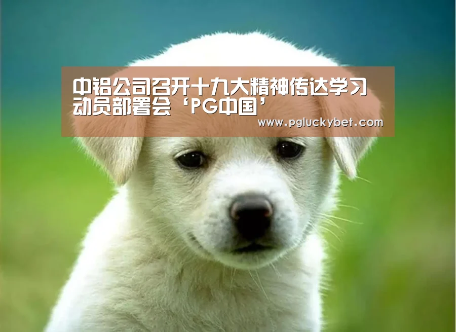 中铝公司召开十九大精神传达学习动员部署会‘PG中国’(图1) PG地址