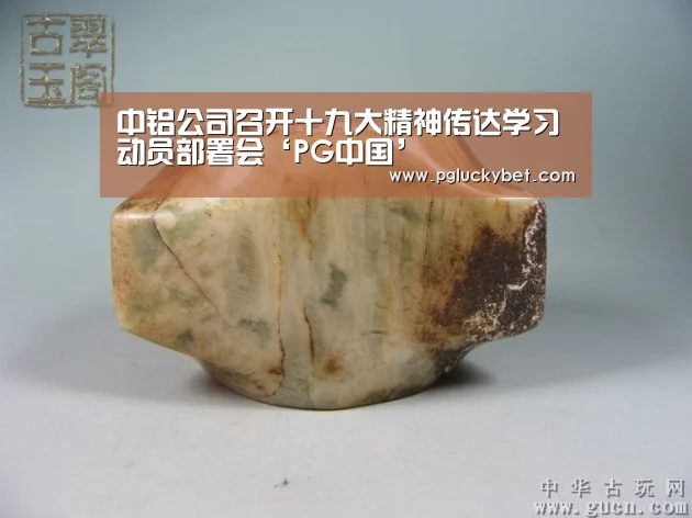 中铝公司召开十九大精神传达学习动员部署会‘PG中国’(图2) PG试玩