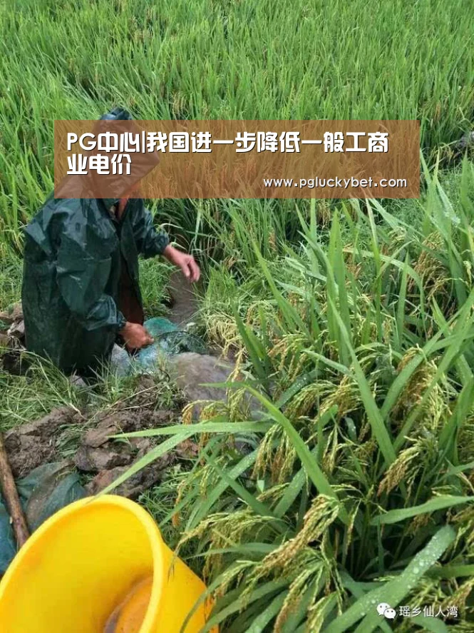 PG中心|我国进一步降低一般工商业电价(图3) PG中国