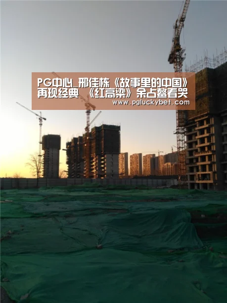PG中心_邢佳栋《故事里的中国》再现经典 《红高粱》余占鳌看哭网友(图1) PG试玩