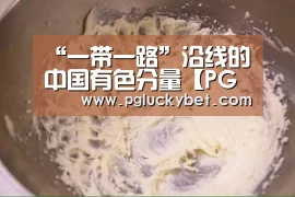 “一带一路”沿线的中国有色分量【PG试玩】(图2) PG中国