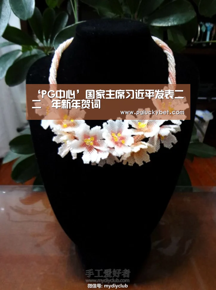 PG地址