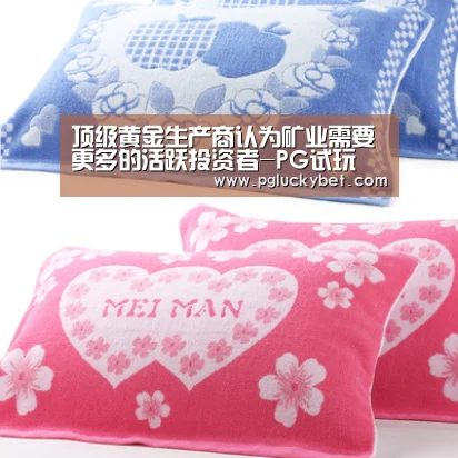 PG试玩