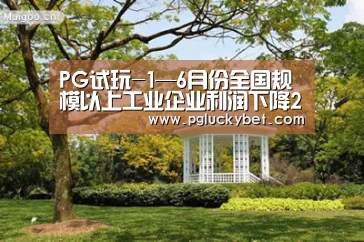 PG中心