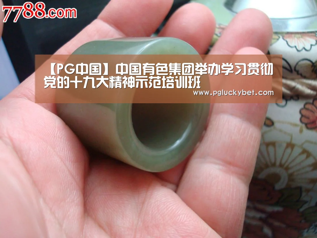 【PG中国】中国有色集团举办学习贯彻党的十九大精神示范培训班(图2) PG地址