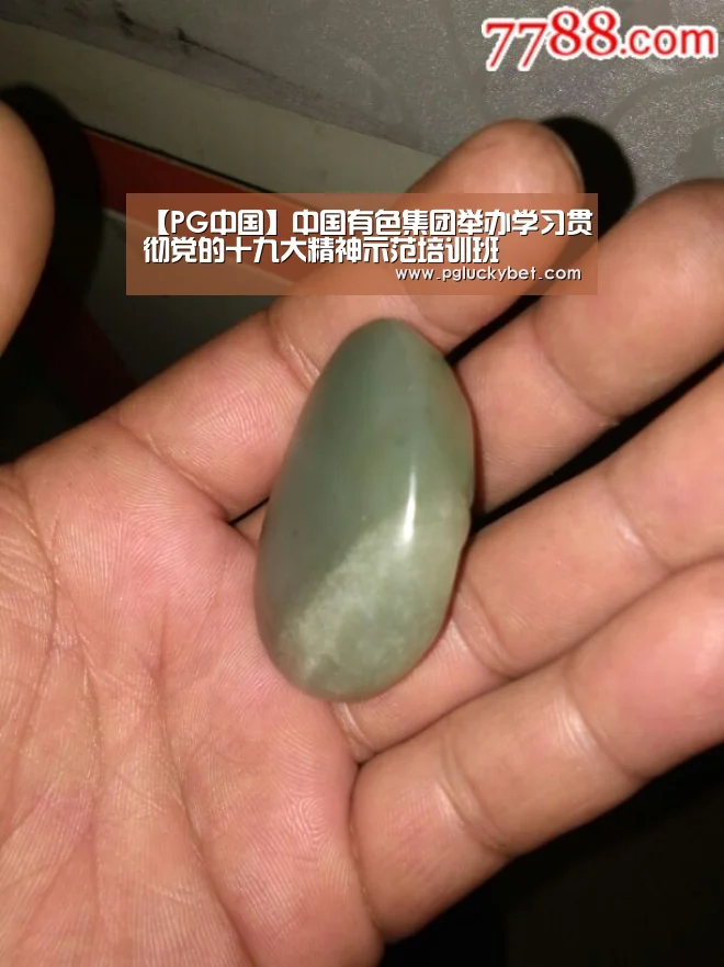 【PG中国】中国有色集团举办学习贯彻党的十九大精神示范培训班(图1) PG试玩