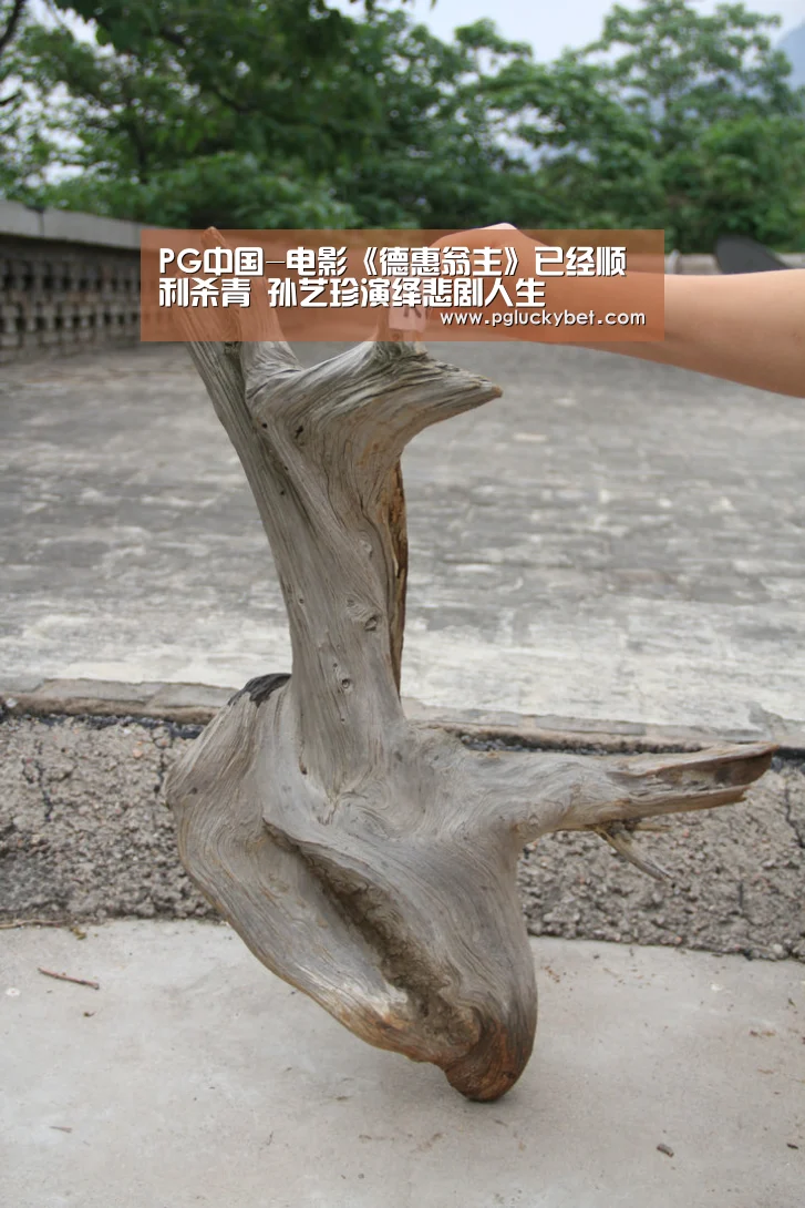 PG中国-电影《德惠翁主》已经顺利杀青 孙艺珍演绎悲剧人生(图2) PG试玩