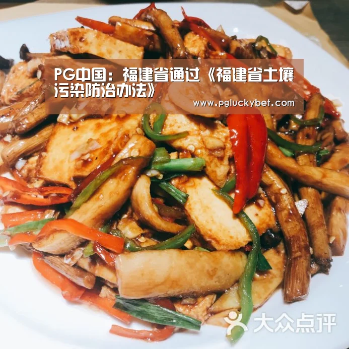 PG中国:福建省通过《福建省土壤污染防治办法》(图2) PG试玩