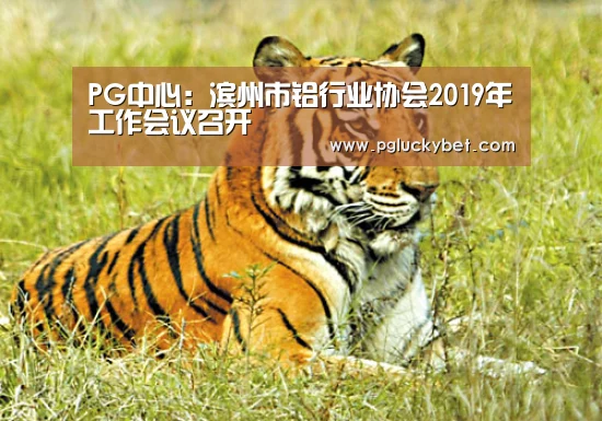 PG中心:滨州市铝行业协会2019年工作会议召开(图3) PG中心