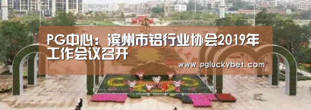 PG中心:滨州市铝行业协会2019年工作会议召开(图4) PG试玩