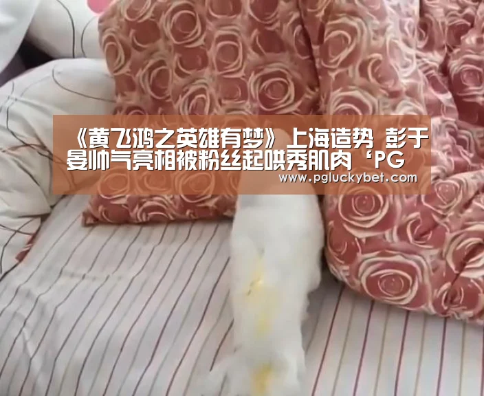 《黄飞鸿之英雄有梦》上海造势 彭于晏帅气亮相被粉丝起哄秀肌肉‘PG地址’(图1) PG中心