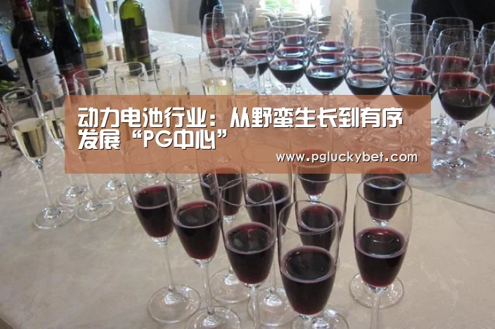 PG中国