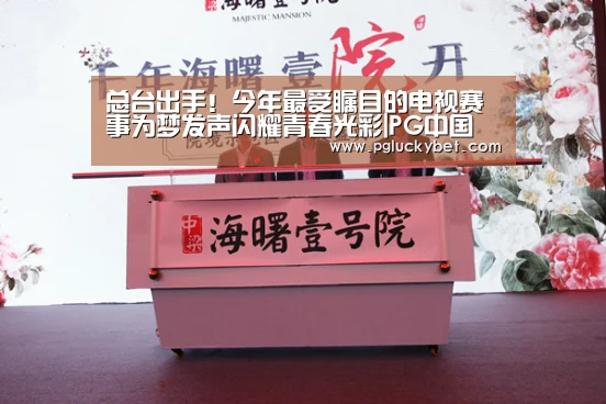 总台出手!今年最受瞩目的电视赛事为梦发声闪耀青春光彩|PG中国(图1) PG试玩