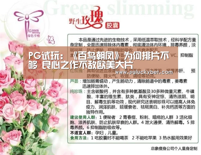 PG试玩:《百鸟朝凤》为何排片不够 良心之作不敌欧美大片(图1) PG地址