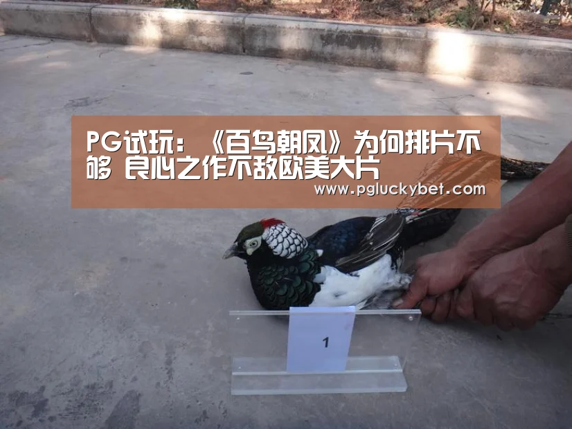 PG试玩:《百鸟朝凤》为何排片不够 良心之作不敌欧美大片(图3) PG试玩