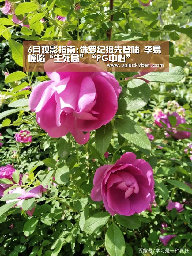 6月观影指南:侏罗纪抢先登陆 李易峰陷“生死局”“PG中心”(图3) PG中国